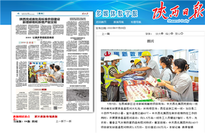 东升国际西北集团珑樾府项目高温慰问——《陕西日报》